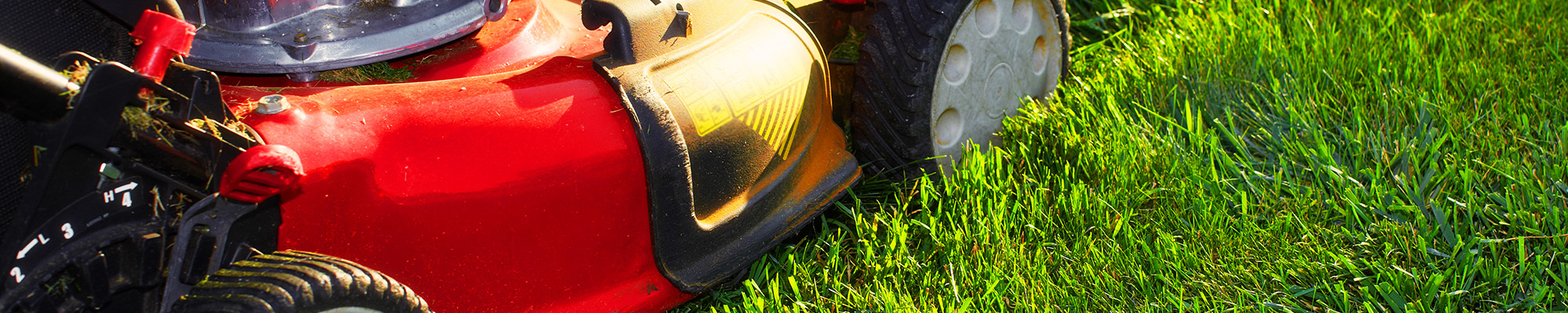 Red push lawn mower on green grass with the sun shining on it